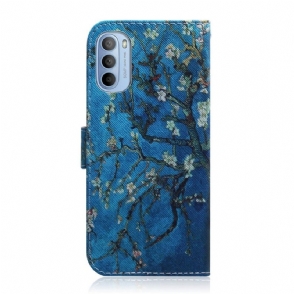 Cover voor Motorola Moto G31 / Moto G41 Amandelbloesem