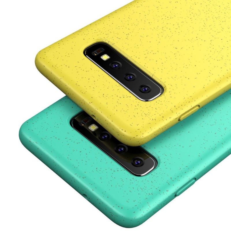 Hoesje voor Samsung Galaxy S10 Plus Granen Met Mat Effect